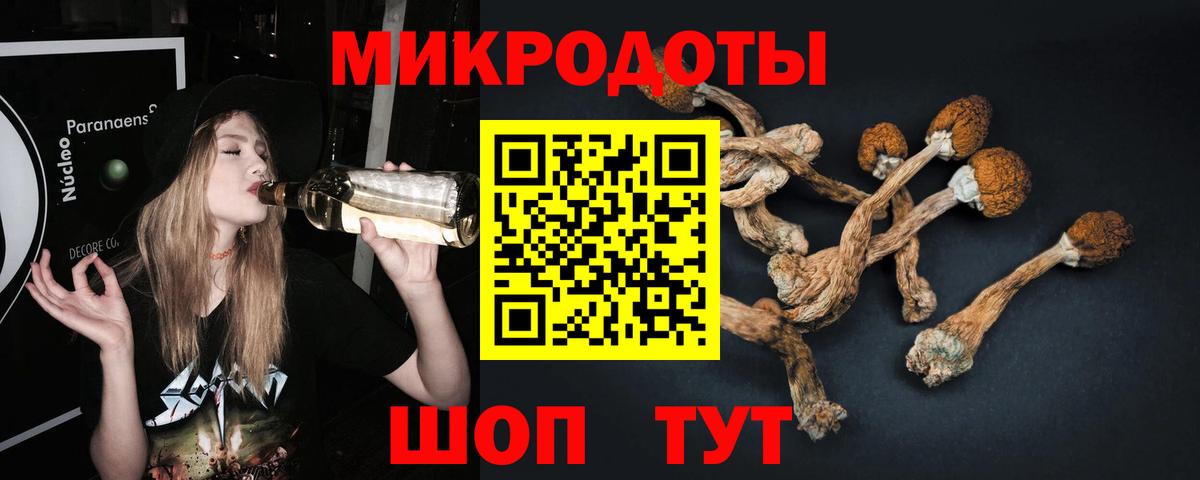 Галлюциногенные грибы мицелий  Псилоцибиновые грибы прущие грибы  Назарово  Вход с VPN 