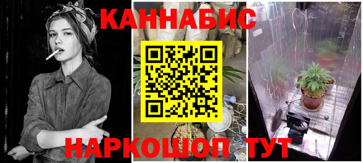 Бошки марихуана конопля Назарово